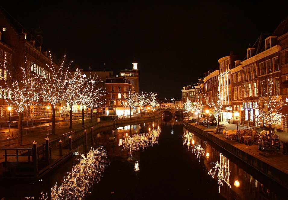 vergroting Brouwerij gereedschap Boomverlichting Leiden Centrum - Lumineus Buitenverlichting