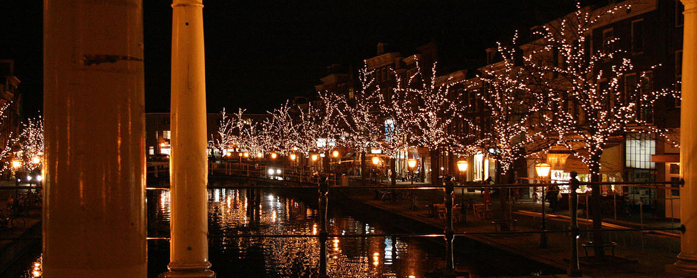 afgewerkt Onschuldig Desillusie Boomverlichting Leiden Centrum - Lumineus Buitenverlichting